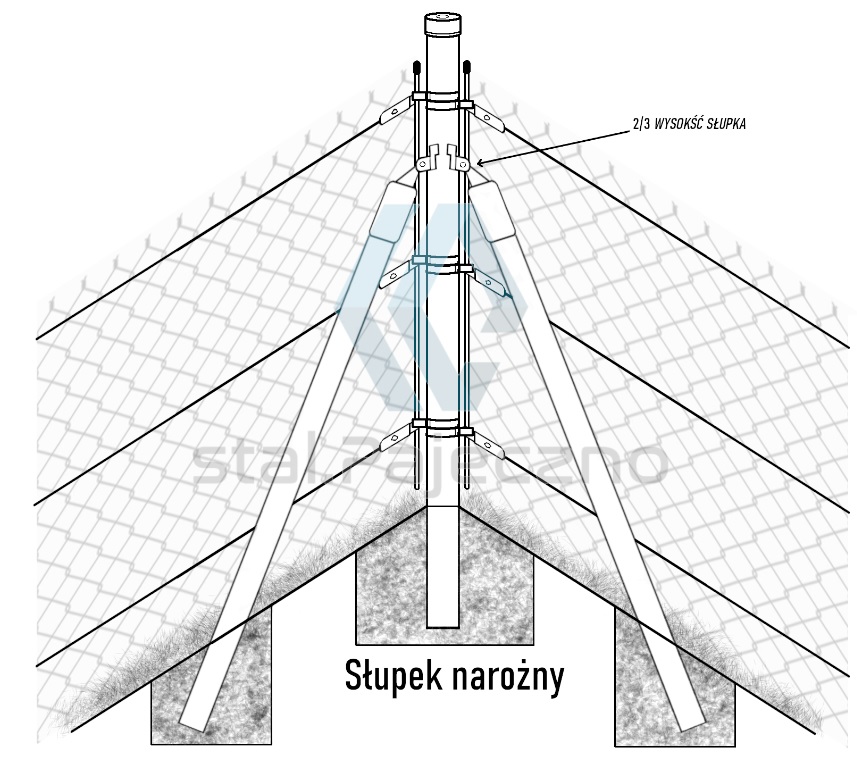 Natożny logo